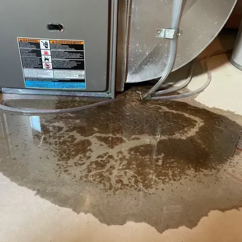 Appliance Leak Cleanup in Farley, IA